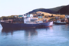 491: The fish collector boat at the wharf in Red Island harbour. (circa 2000) [courtesy of Madonna (Bishop) Mulrooney]